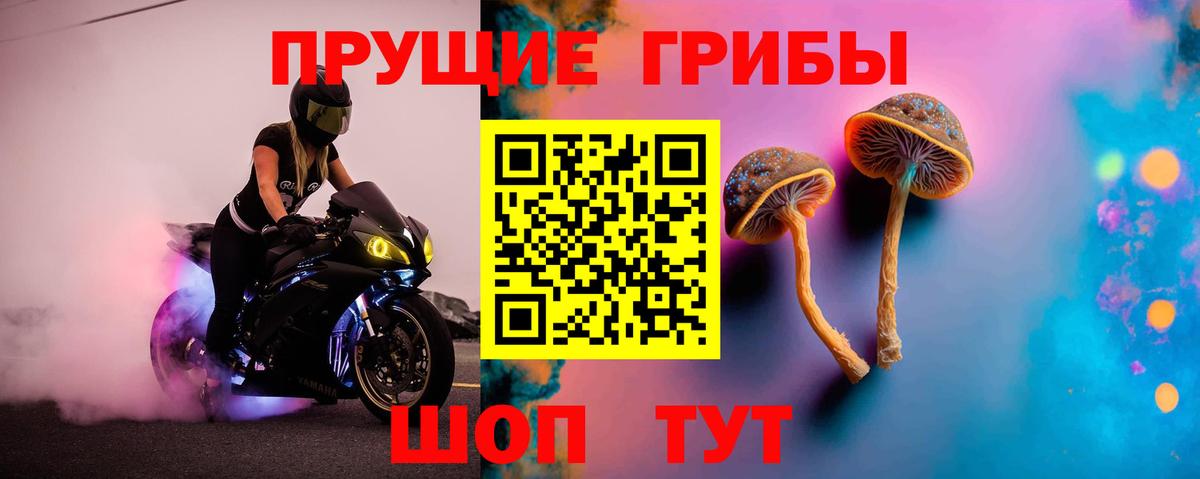 Галлюциногенные грибы ЛСД Россия